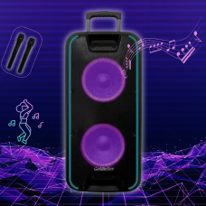 Goldteller GT-6067: Потужний звук у двох мікрофонах для вашого свята Goldteller GT-6067: Потужний звук у двох мікрофонах для вашого свята